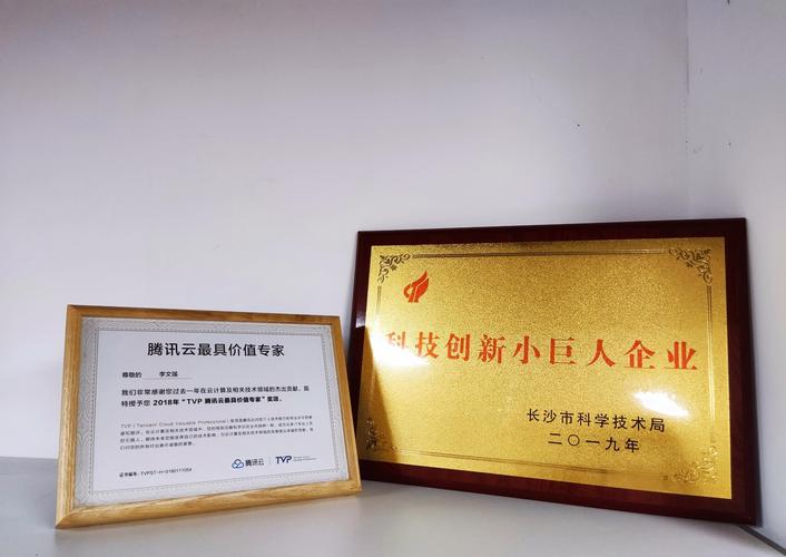李文强与他的科技公司 软件开发、信息技术咨询与游戏服务